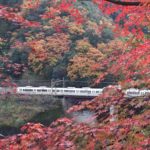 ２０１８京都の紅葉を自転車で楽しむライドEpisode2